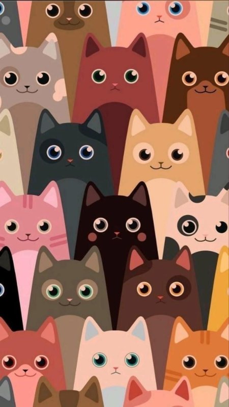 Котики фон