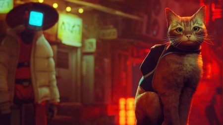 Игра stray