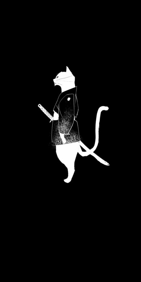Котик самурай