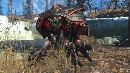 Болотник fallout 4