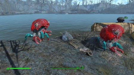 Болотник fallout 4
