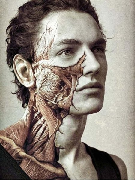 Лицо в шрамах