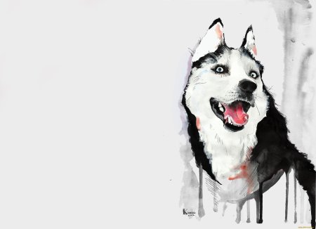 Рисунки хаски