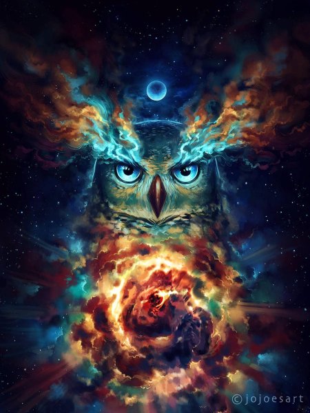 Космическая сова