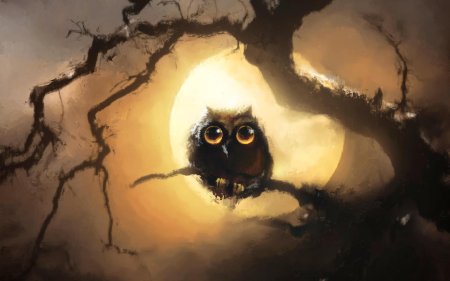Ночная сова.(night owl).1993