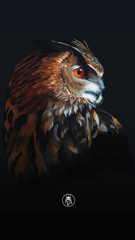 Сова арты