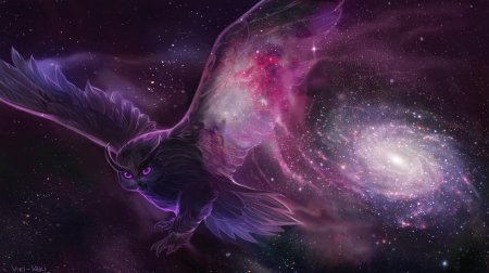 Космическая сова