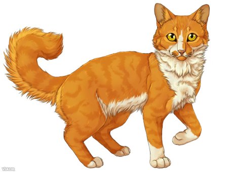 Коты воители виалир