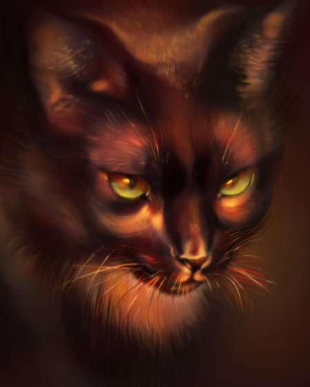 Арт кот