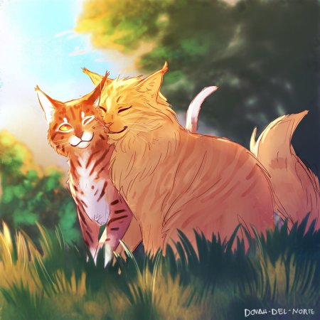 Коты воители огнезвёзд и песчаная буря любовь