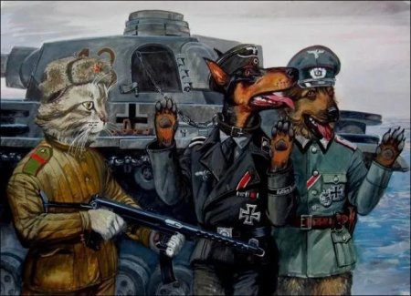Храбрые коты. художник александр завалий