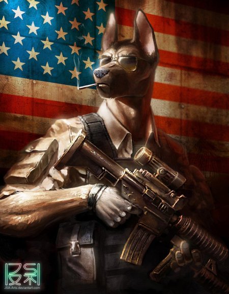 Фурри военные