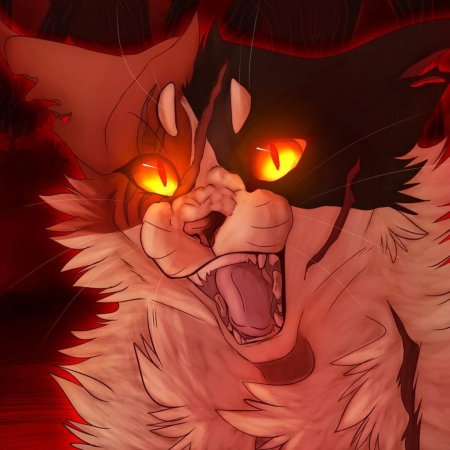 Коты воители кленовница