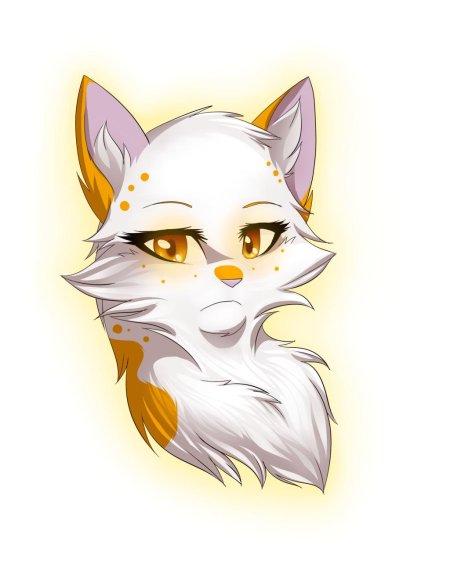 Коты воители river spirit кленовница