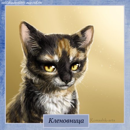 Коты воители romashik-arts