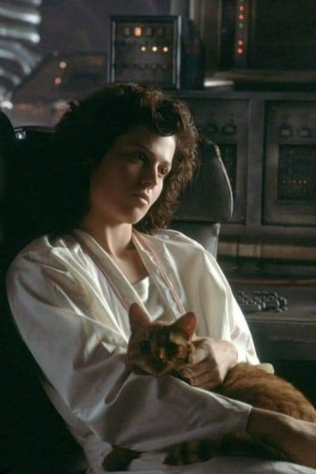 Чужой фильм 1979 сигурни уивер
