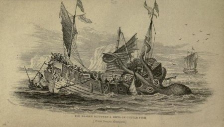 Кракен морское чудовище