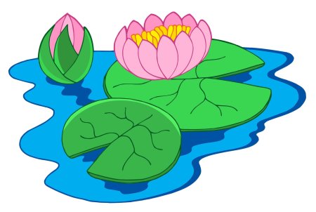 Рисунок кувшинка