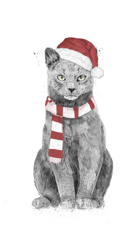 Кот в новогодней шапке арт