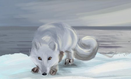 Песец кицунэ