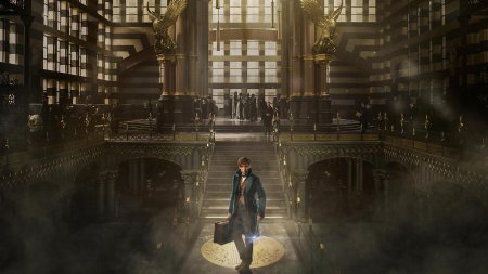 Гарри поттер фантастические твари