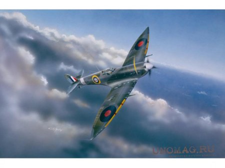 Supermarine spitfire 1/24