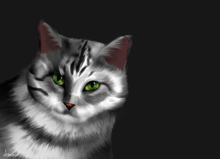 Коты воители 3д