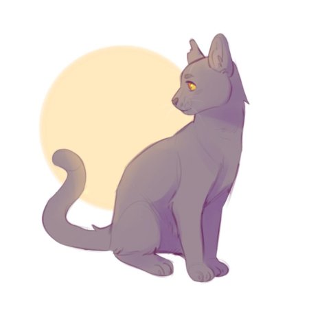 Коты воители серокрыл