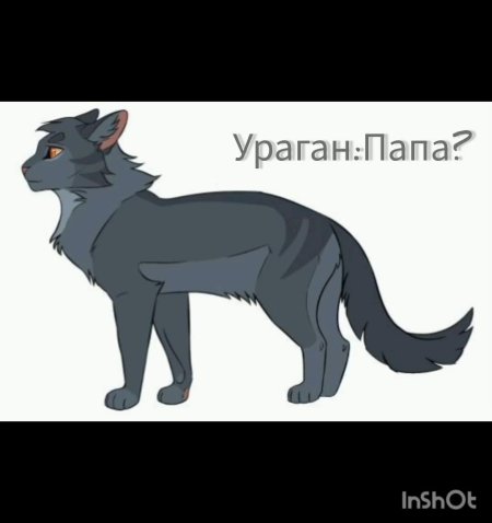 Коты воители невидимая звезда