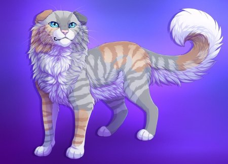 Коты воители виалир