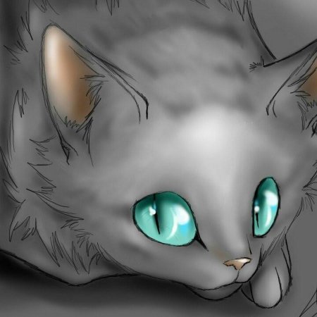 Коты воители кровоцапка