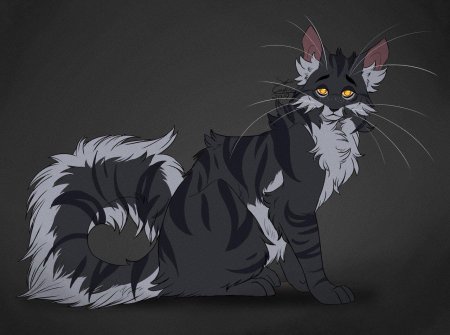 Тенесвет коты воители