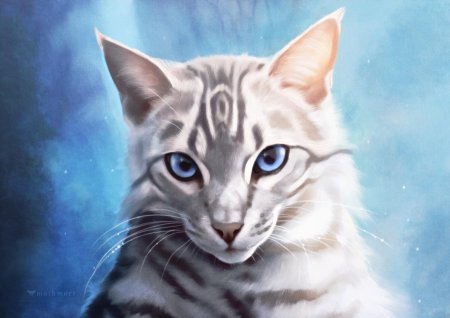 Коты воители серебрянка