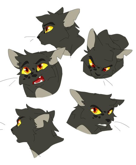 Коты воители warriors cats