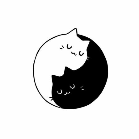 Котики инь янь