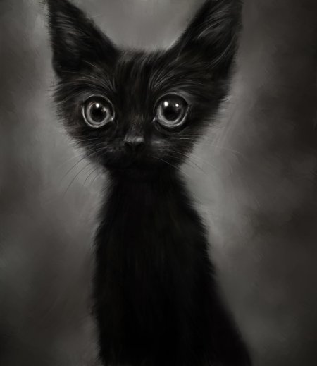 Милые черные котики