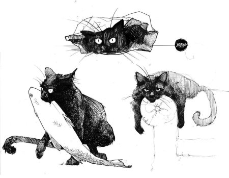Рто среди черных котов