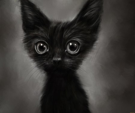 Милые черные котики