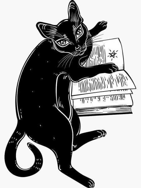 Ученый кот