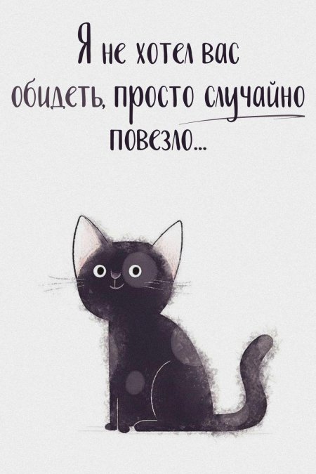 Мультяшные кошки