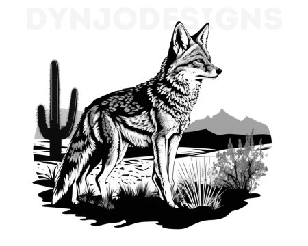 Coyote coyote