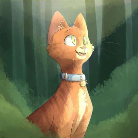 Коты воители рыжик огнезвёзд