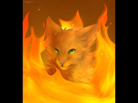 Коты воители огнезвезд