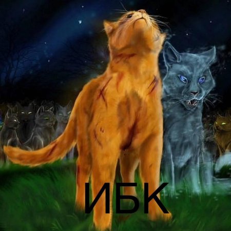 Коты воители огнезвёзд