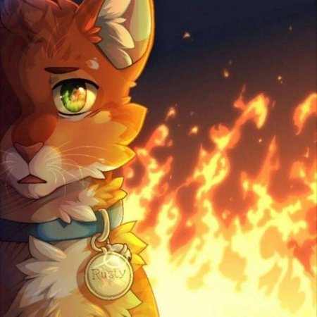Коты воители огнезвёзд
