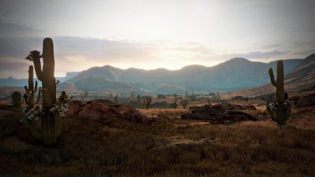 Нью остин rdr 2
