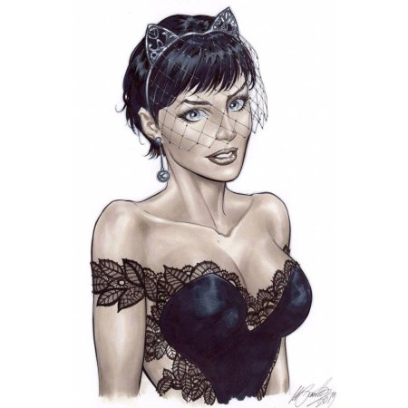 Catwoman селина кайл 2004