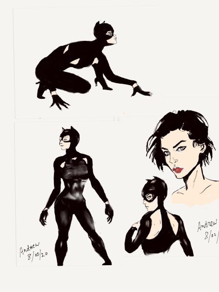 Catwoman селина кайл 2004