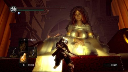 Dark souls принцесса гвиневра