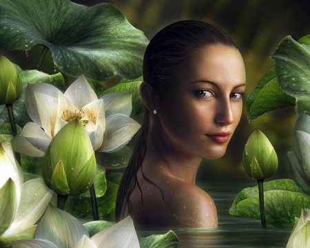 Цветы лилии для девушки